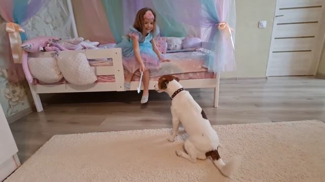 настя дрессирует Флюка смотреть онлайн