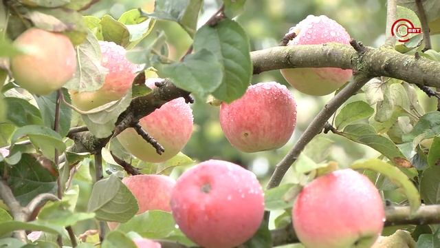 Социализация обучающихся в школе №4 смотреть онлайн