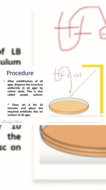 Desk diffusion смотреть онлайн