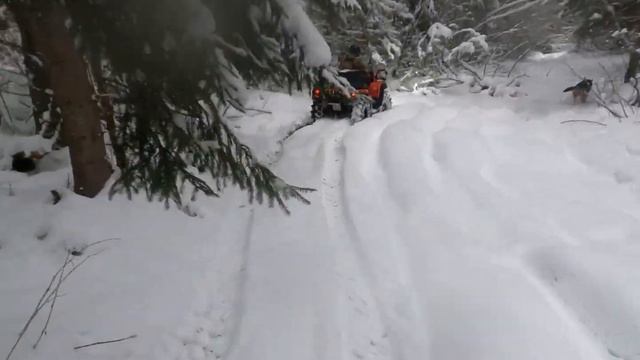 КвадроПокатушки!!! Снегопад.  Зима!!! Красота!!! Лес.  Декабрь 2021 г.