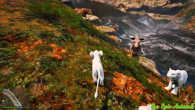 Playing as lion in the jungle fighting against lions And helping the cow that drown in the river смотреть онлайн