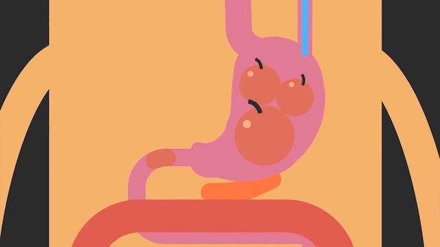 Edu: Как организм узнает, что вы сыты