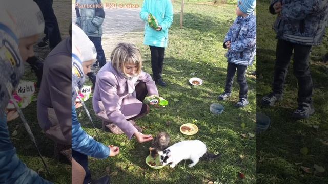 Итоги фото челленджа «Копилка добрых дел! » смотреть онлайн