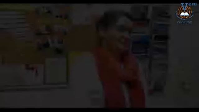 Мастер-курс по грамматике английского в Образовательном центре VERA смотреть онлайн