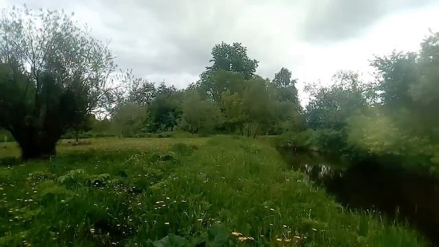 В первые дни лето решил снять фильм про природу