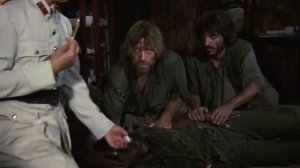 "Без вести пропавшие" (Чак Норрис)