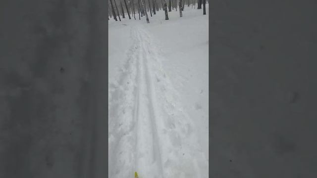 "Циклон в Хабаровском крае" принес очень много осадков конец апреля, катаюсь в парке на лыжах. смотреть онлайн