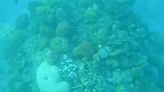 Красное море смотреть онлайн