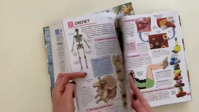 Иллюстрированная детская энциклопедия в вопросах и ответах. Пегас смотреть онлайн