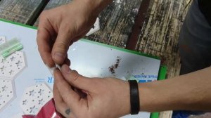 Как крутить самокрутку