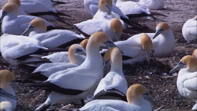 ЭТО НАСТОЯЩАЯ КРАСОТА, ПРИРОДА смотреть онлайн