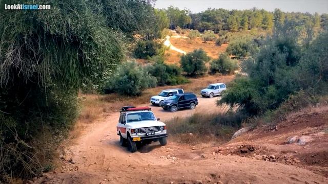 Уроки бездорожья 4x4 в лесу Бен Шемен (שבילים, מוסמך שטח 6) смотреть онлайн