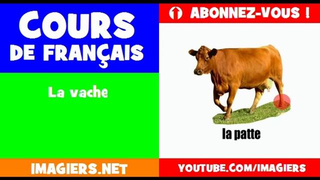 Курсы французского языка = коровы смотреть онлайн