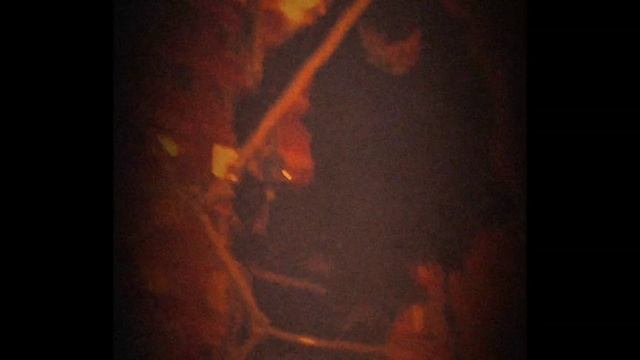 вазрашение дорс 3 (100) трэйлер