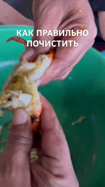 Как в Индии почистить краба за 30 сек. которого поймали собственными руками #travel #tour #Goa смотреть онлайн