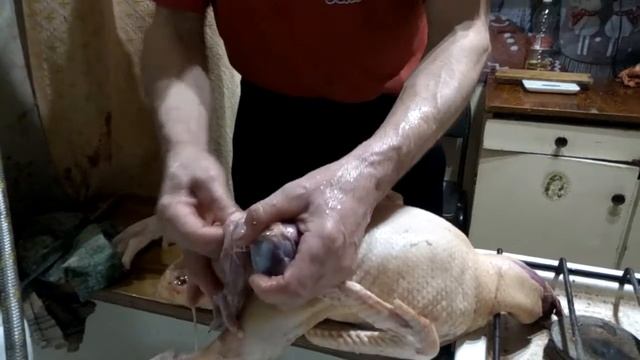 Как я потрашу уток.