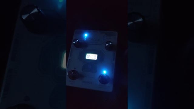 Caline Mariana Reverb Pitch Shifter, TC Electronics Flashback 2 Pitch Shifting Delay + Looper