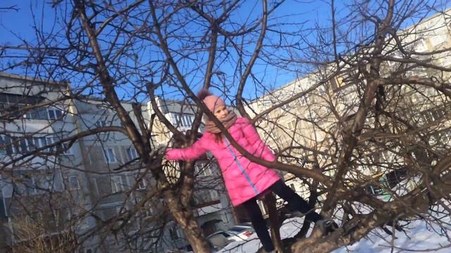 VLOG: испытываем дерево на прочность 😂😂 смотреть онлайн