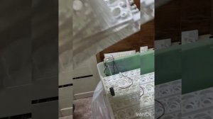 Инкубатор Спектр-84-01 небольшой обзор при распаковке.