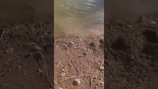 Мой дядя плавает в речке которая является одним источником воды в Экибастузе смотреть онлайн