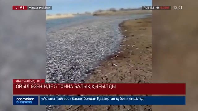 Ойыл өзенінде 5 тонна балық қырылды смотреть онлайн