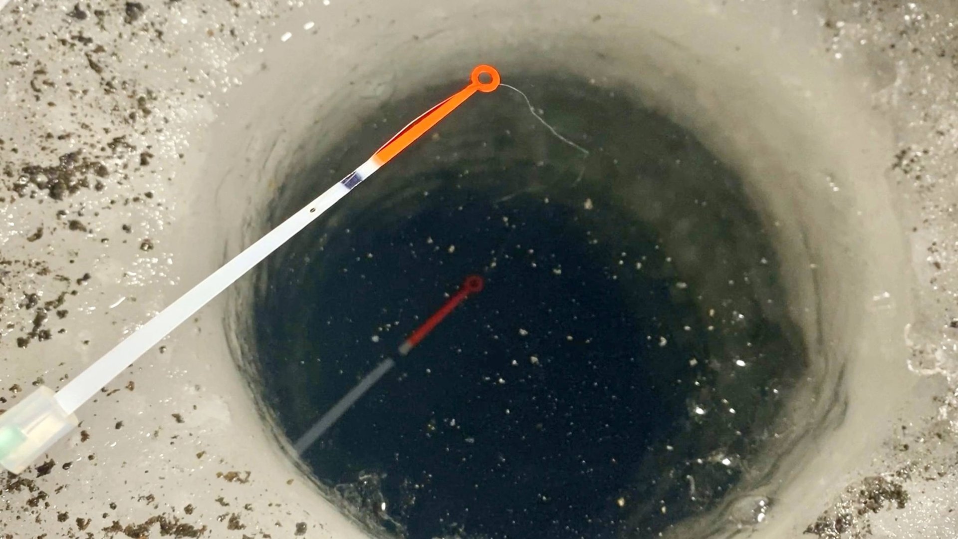 ПОДНЯЛО ФОСФОРНУЮ КАПЛЮ...ТЁМНАЯ РЕКА УДИВИЛА! Поплавок и кивок на течении! Рыбалка смотреть онлайн