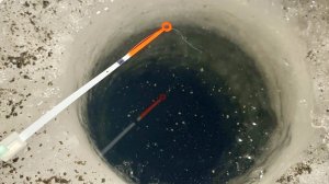 ПОДНЯЛО ФОСФОРНУЮ КАПЛЮ...ТЁМНАЯ РЕКА УДИВИЛА! Поплавок и кивок на течении! Рыбалка