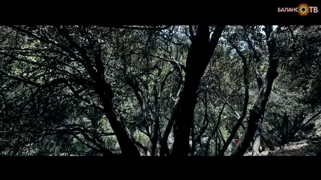 Caledonia Waterfalls (Кипр) смотреть онлайн