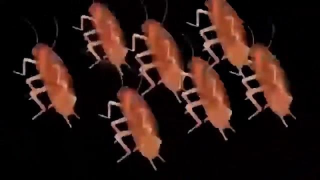 таракан сергей танцует под курица,сыр,ананас 1 час смотреть онлайн