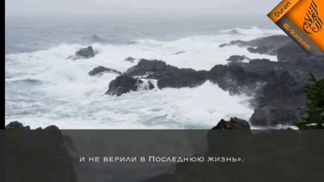Красивое чтения Корана смотреть онлайн