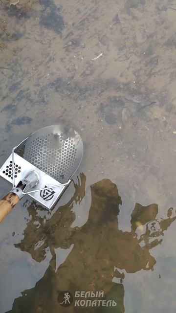 Находки так и прут! Старый пляж СССР смотреть онлайн