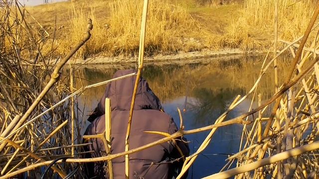 ЛЁД РАСТАЯЛ и РЫБА ПОПЁРЛА! ПЕРВАЯ УДАЧНАЯ РЫБАЛКА НА ПОПЛАВОК 2024! Рыбалка на карася ранней весно смотреть онлайн