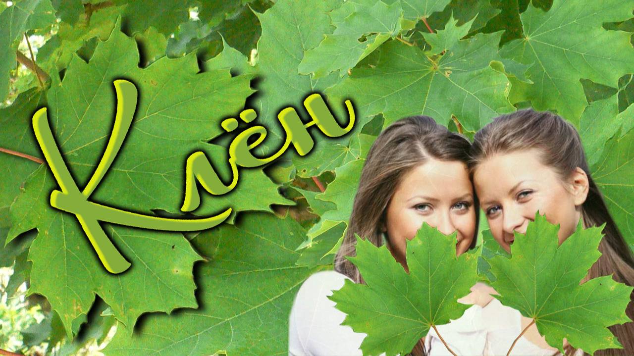 Клён. Песни старого шарманщика.