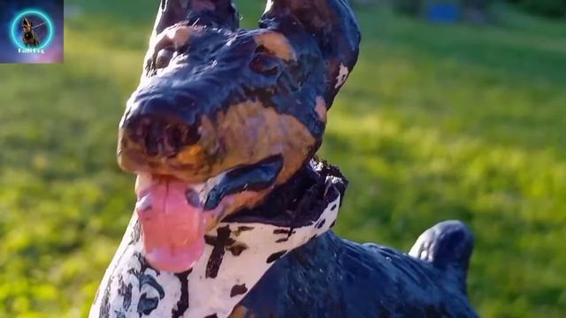 Шляйх сериал 