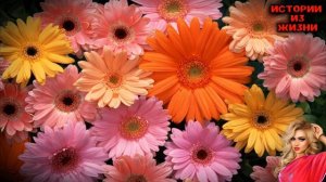 НА ОТДЫХЕ СЫН И МАМА НАМ БЫЛО ХОРОШО ВСЮ НОЧЬ | Истории из жизни