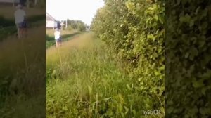 Сериал "Подкидыш" 1 сезон 1 серия