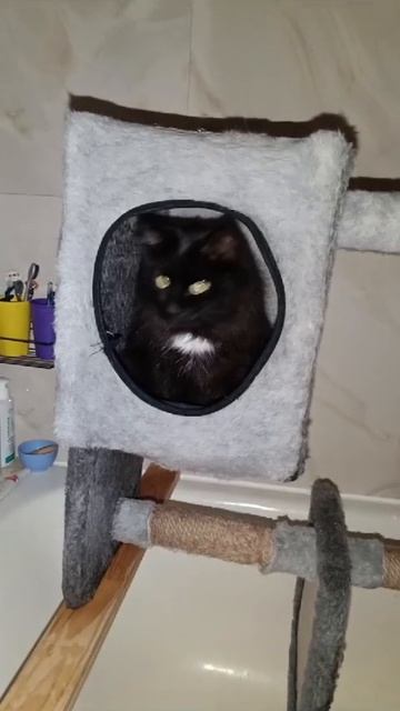 И такое Бывает смотреть онлайн