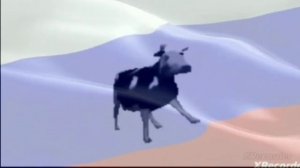 Польская корова + Гимн Россикой Федерации