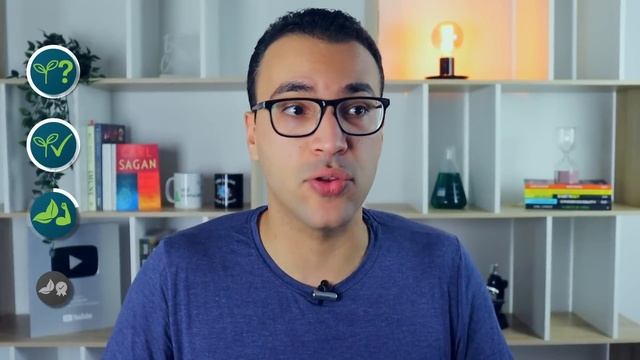 ORA-PRO-NÓBIS: É TÃO BOM QUANTO DIZEM? смотреть онлайн