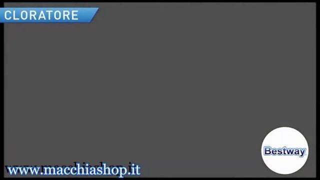 Bestway Clorinatore al Sale adatto a tutte le Piscine 58216 смотреть онлайн