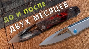 Использовал ПРЕМИАЛЬНЫЙ нож 2 месяца: что с ним произошло? DK Stinger