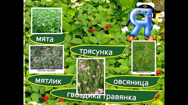 Буква Я показатель мягкости согласного смотреть онлайн