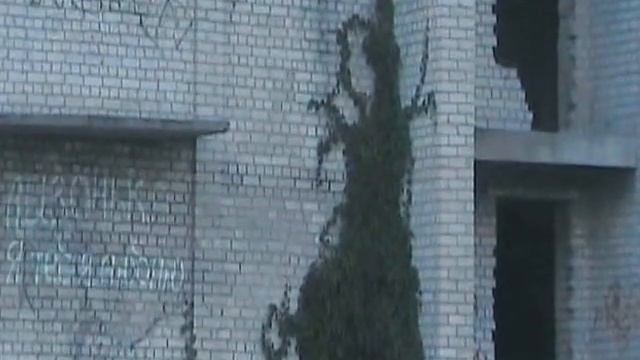 Узоры природы (Стаханов) смотреть онлайн