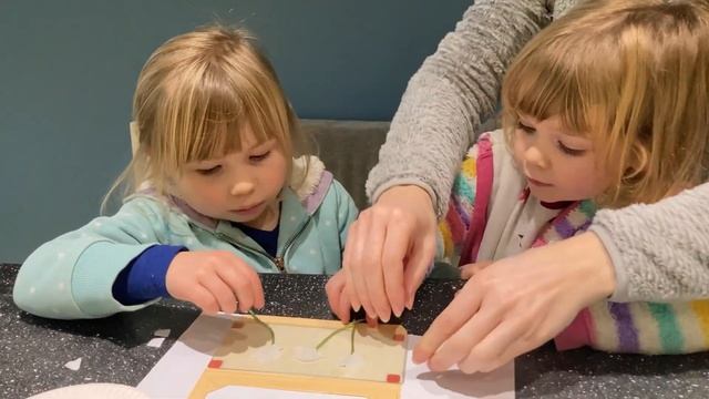 Kiwico's Capillary Action Crate | Home Education UK смотреть онлайн