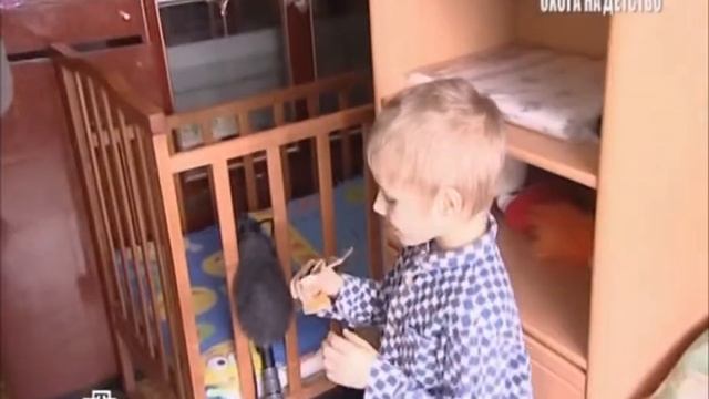 Ювенальная юстиция смотреть онлайн