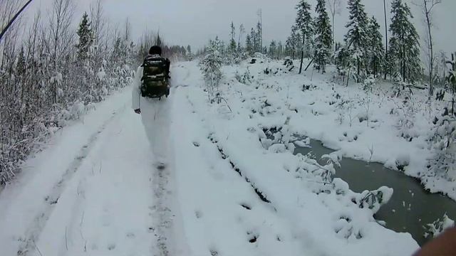 Охота с ВСЛ. Сезон 2019г. Часть 2.