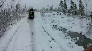 Охота с ВСЛ. Сезон 2019г. Часть 2.