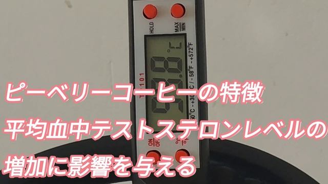 男性向けエナジー 精力コーヒー 豆コピラナン Kopi lanang energetic coffee beans biji kopi yang energik Indonesian peaberr смотреть онлайн