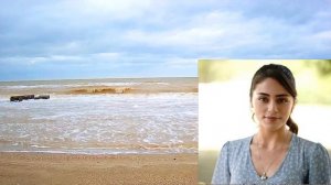 Доверенное 222 серия на русском языке. Обзор