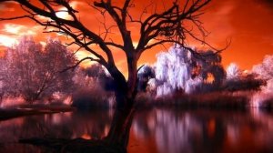 Искусство маленьких шагов